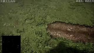 电影级画质，失眠者福音~