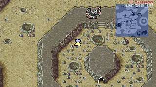 多年以后你还在