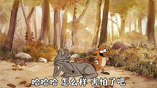 动漫推荐官方直播间