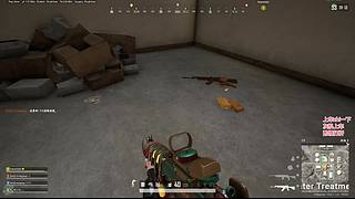 周末快乐激情pubg~