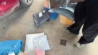 伐木训练营！！！