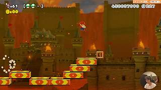 我可能玩了假的马里奥