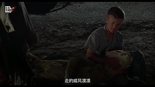 感谢大家的支持 7495810