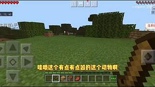 小贤菌惊变100天生存