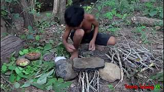 欢乐猴群纪录片