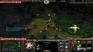 魔兽达尔文进化岛直播间