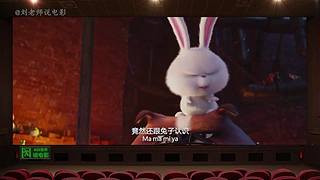 【刘老师】每天爆笑解说不断