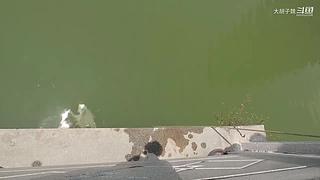 大胡子魏的直播间