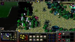 魔兽争霸3僵尸岛系列 8872871