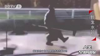 魏蜀吴群雄争霸，发弹幕加入国战