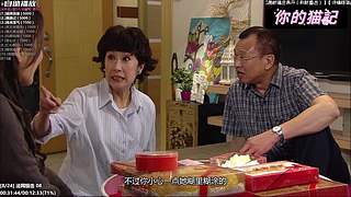 ⌯猫记⌯你的宝藏煲剧间