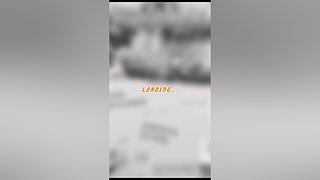 免费接资源（新晋百晓生老玩首秀）包开神兽