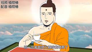 植物椿de房间的直播间