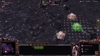 每天都是如此的随意