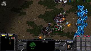 暴风虫族Ameba教你玩转星际争霸I