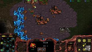 暴风虫族Ameba教你玩转星际争霸I