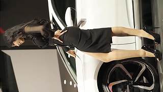 美女车模鉴赏团～