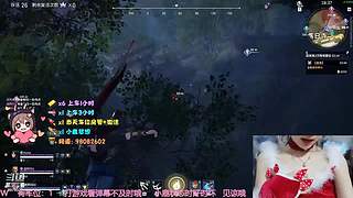 【有车位】 笨蛋胡桃