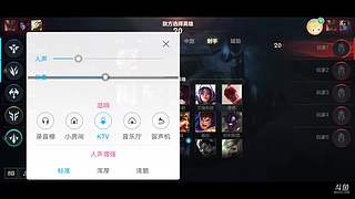 英雄联盟手游 10040146