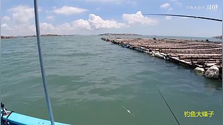 感谢钓友关注，每天分享鱼乐