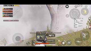 娅娅的直播间 10230787