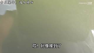 整活视频，开心就好