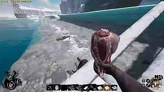 全网最强没有之一 10606940