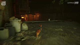 新主播直播第一天。