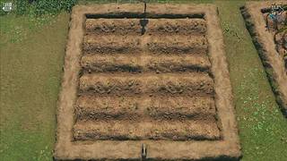 10996111的直播间