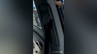 星球大战前线2玩玩看。