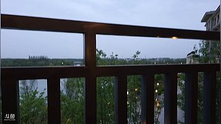 小猪小猪呼噜噜