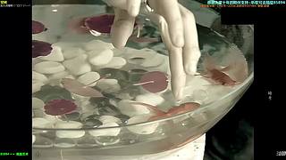 【神乐】祝愿大家前路繁花似锦~所愿皆可得