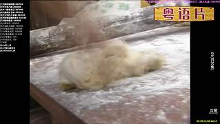 【粤语电影】粤电视剧 禁止弹幕报任何剧名