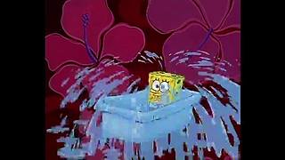 欢迎来到比基尼海滩