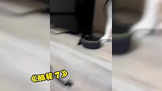 唉呀妈呀！笑抽抽了！