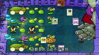 宝子们，开席了！