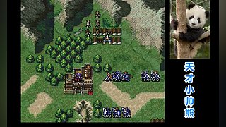 天才小帅熊的直播间