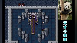 天才小帅熊的直播间