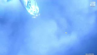 不定时开播 3624479