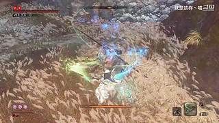 萌新菜菜，大佬带带