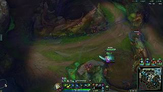 你的 主播 已经 上线