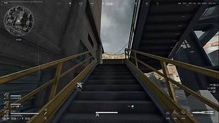 我和Apex永远等着小驴鹅回来