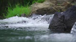 舌尖上的印度丨下饭必备丨点点关注不迷路！