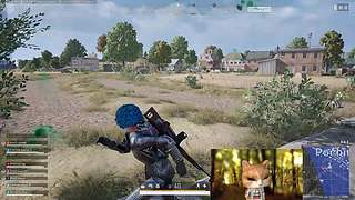 干就完事了！！