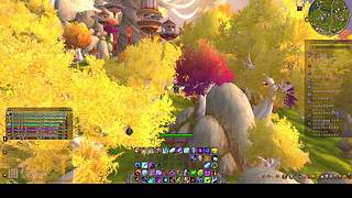 上限65个号全满级