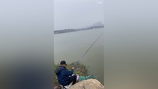 亮gnailux的直播间