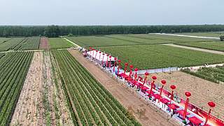 惠影湖北乐享生活-惠民观影活动发布仪式