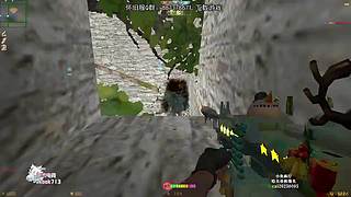 赘婿带你打游戏！6696