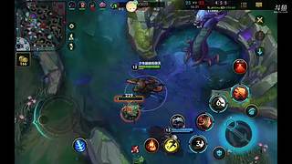 上单的单排日记