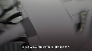【月影轮播间】后宫番解说